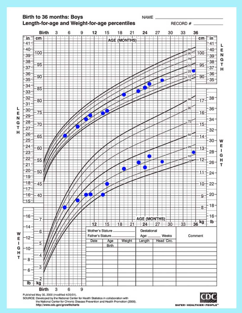 Size Chart Circumference