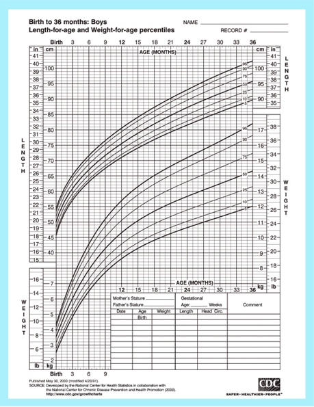 Baby Size Chart for Clothes, Growth and Development of a Baby